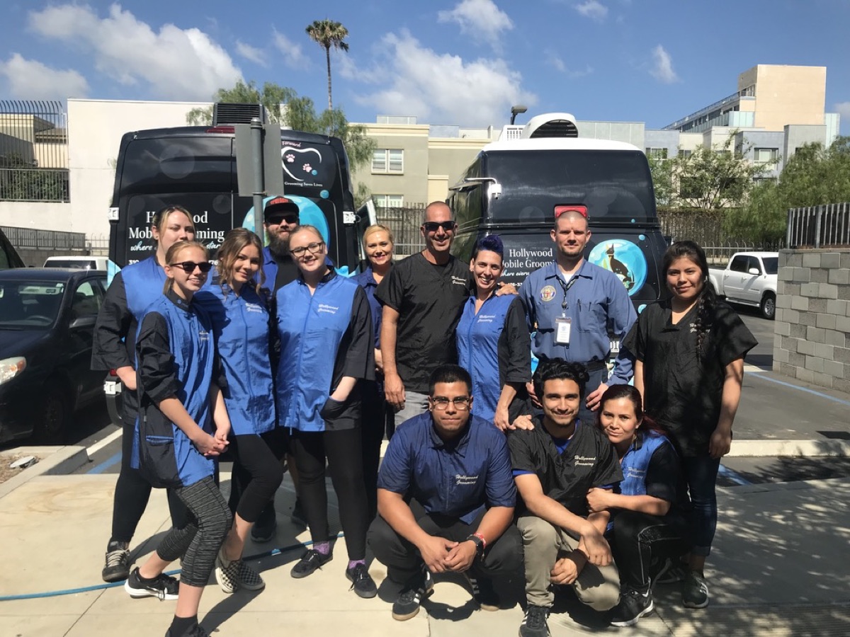 Go Hollywood Grooming team, as featured on KTLA 5
