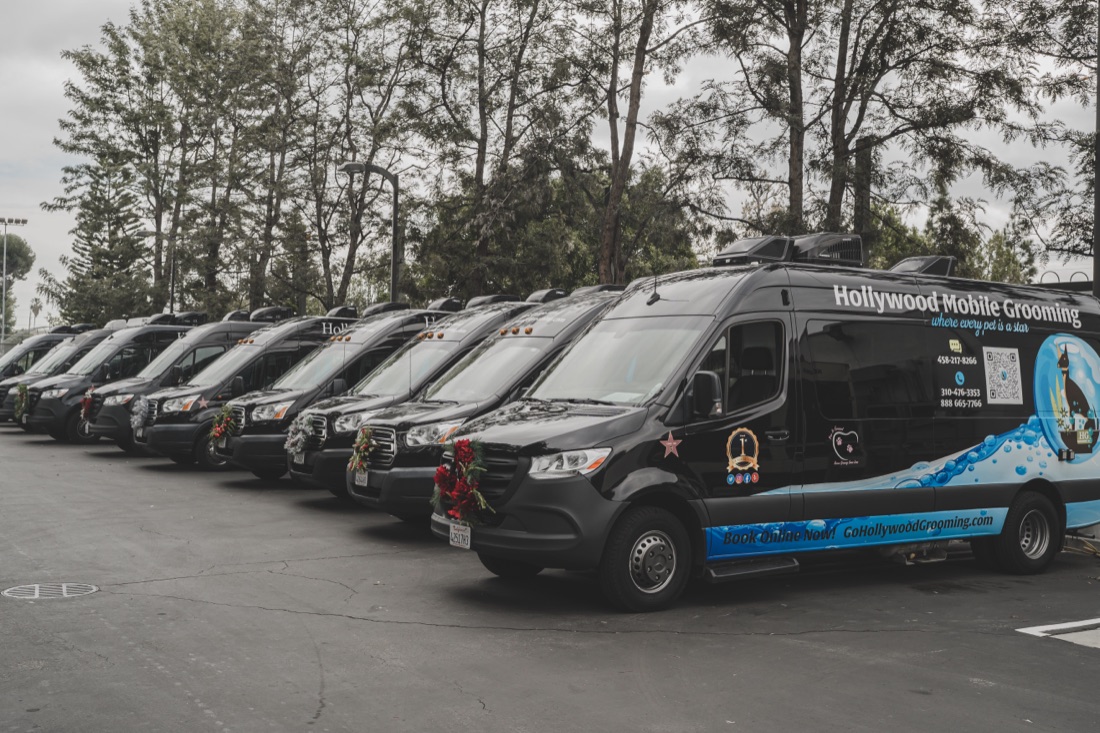 Go Hollywood mobile grooming vans